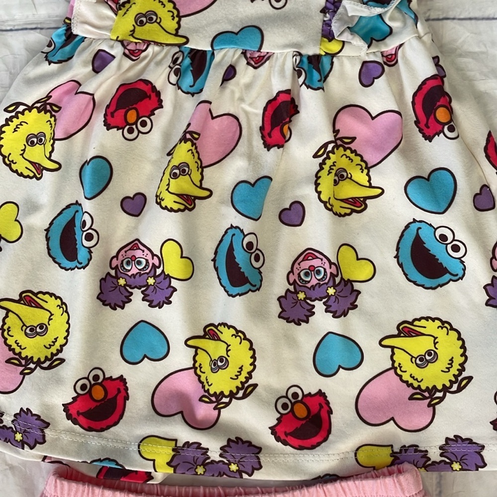 ♥️Seasme Street♥️ Dress and Diaper set size 6 m - Picture 9 of 13